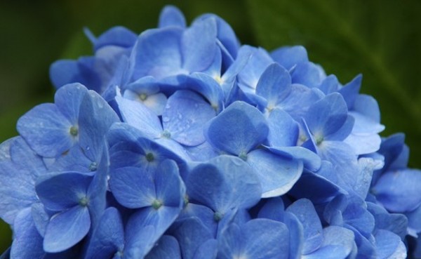 june