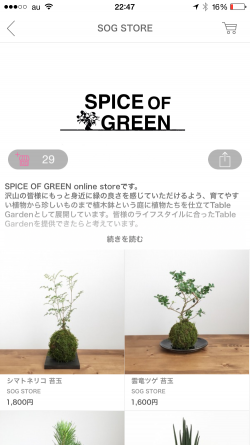 spiceofgarden