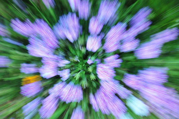 ZOOM