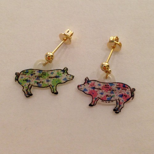 pig