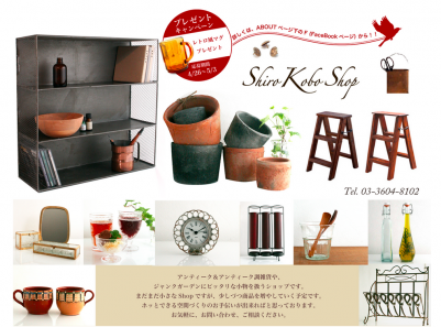 shirokobo