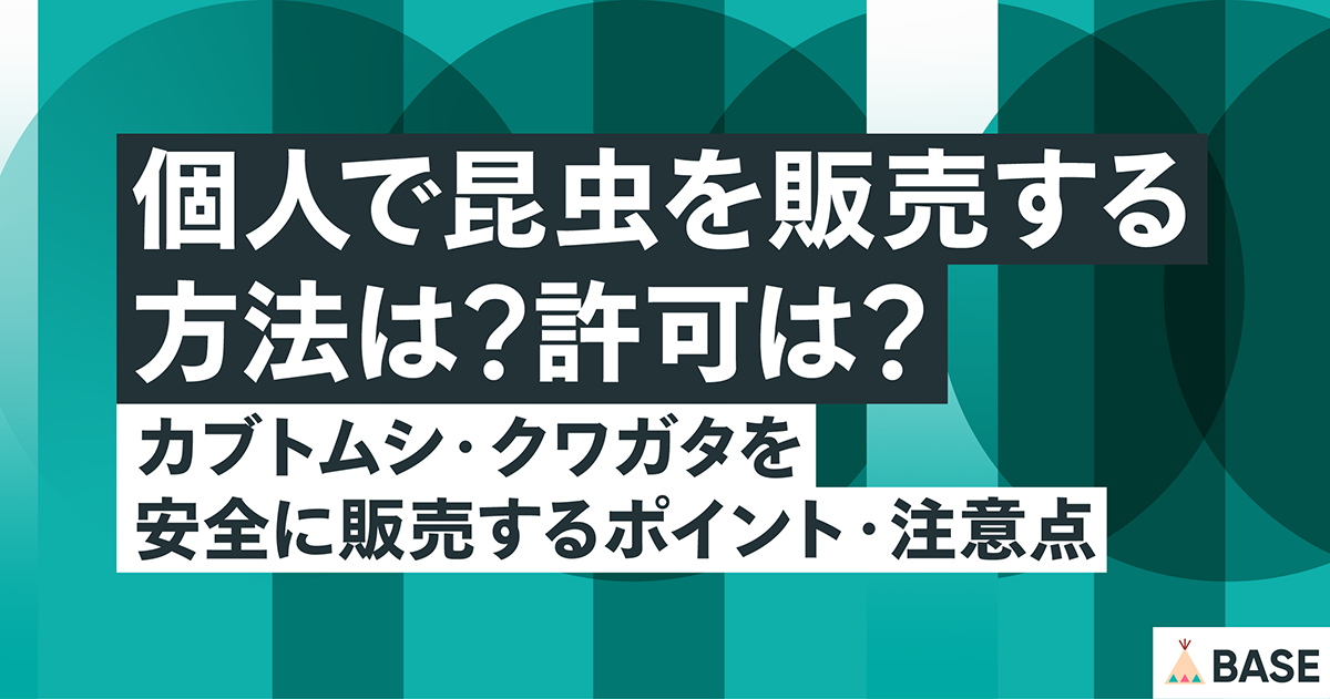 個人で昆虫を販売する方法は？許可は？｜カブトムシ・クワガタを安全に販売するポイント・注意点