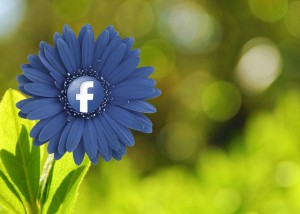 参考にしたい！ネットショップ３社のお手本Facebookページをチェックしてみよう。